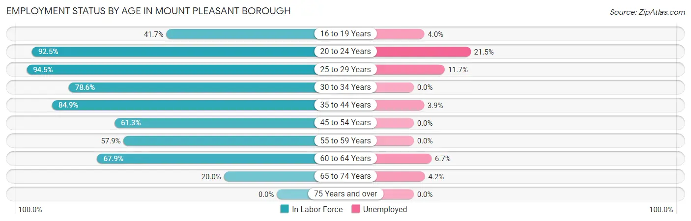 Employment Status by Age in Mount Pleasant borough