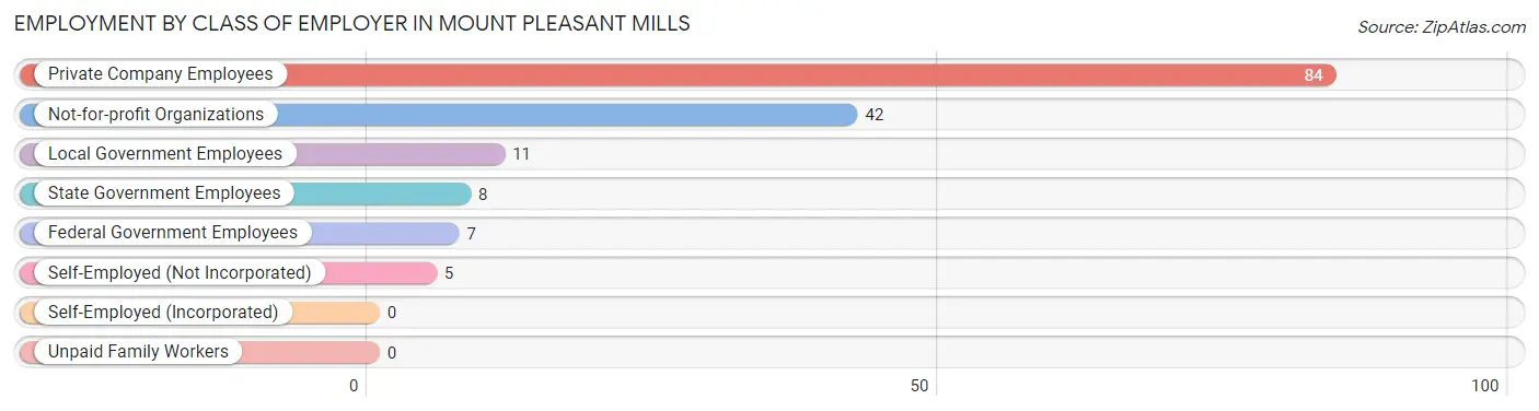 Employment by Class of Employer in Mount Pleasant Mills
