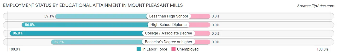 Employment Status by Educational Attainment in Mount Pleasant Mills