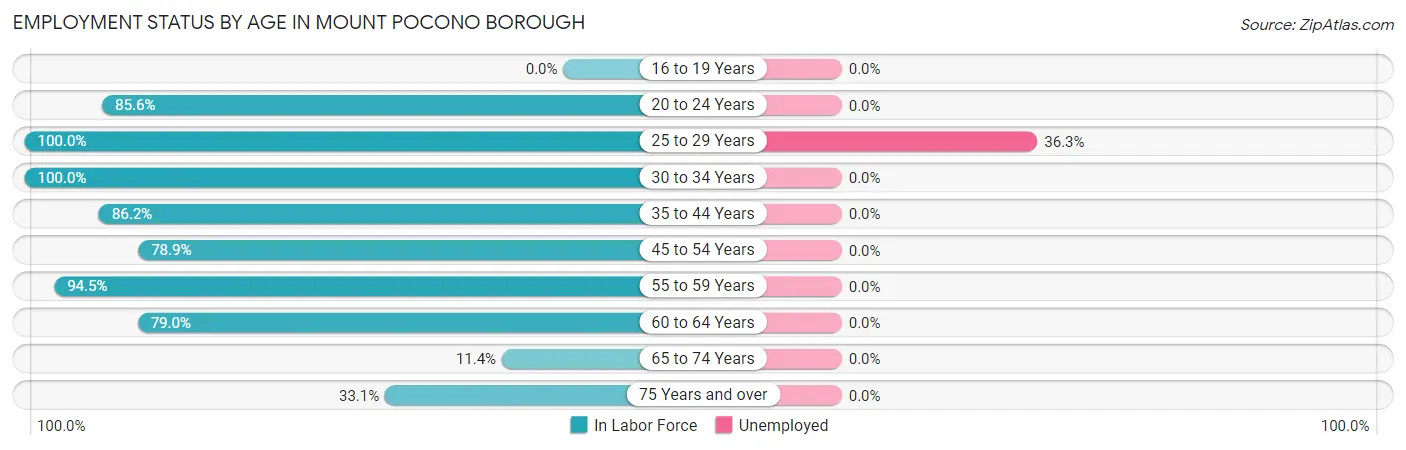 Employment Status by Age in Mount Pocono borough