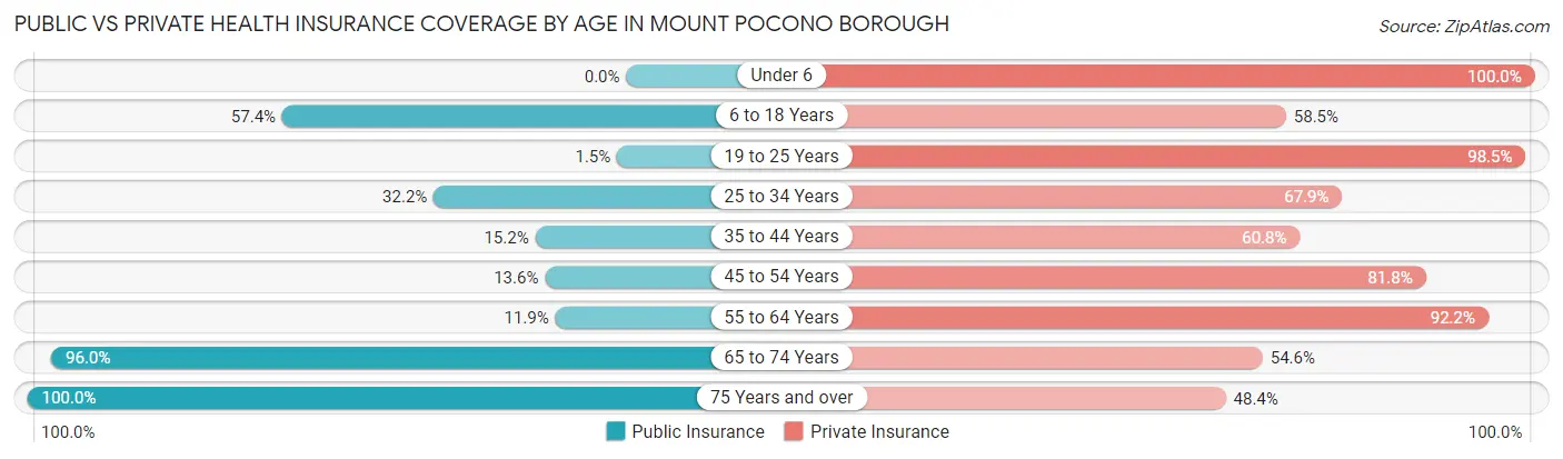 Public vs Private Health Insurance Coverage by Age in Mount Pocono borough