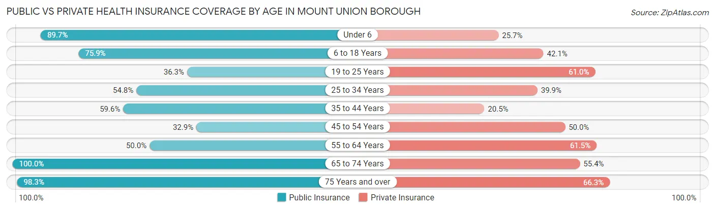 Public vs Private Health Insurance Coverage by Age in Mount Union borough