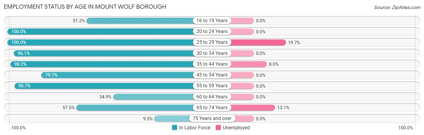 Employment Status by Age in Mount Wolf borough