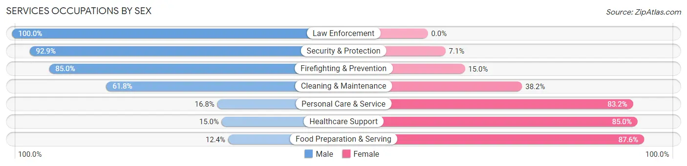 Services Occupations by Sex in Mountain Top