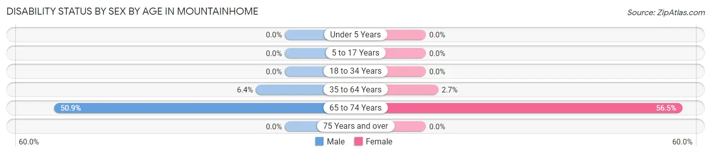 Disability Status by Sex by Age in Mountainhome