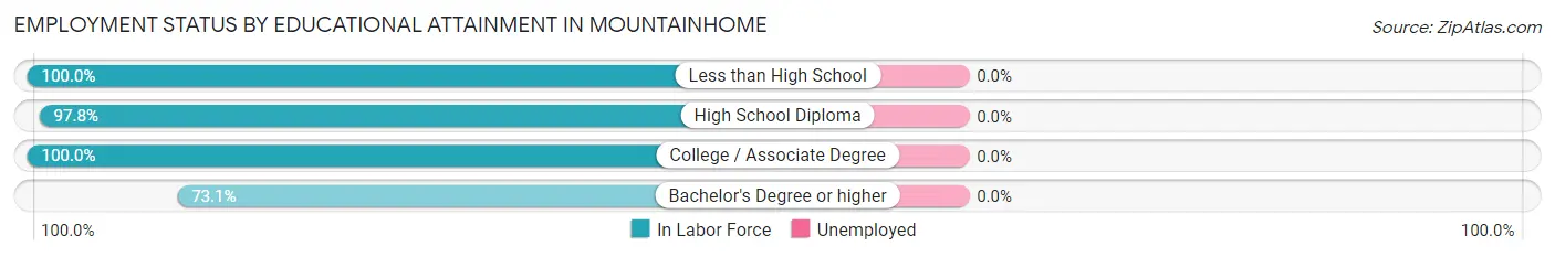 Employment Status by Educational Attainment in Mountainhome