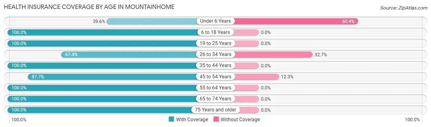 Health Insurance Coverage by Age in Mountainhome
