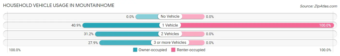 Household Vehicle Usage in Mountainhome