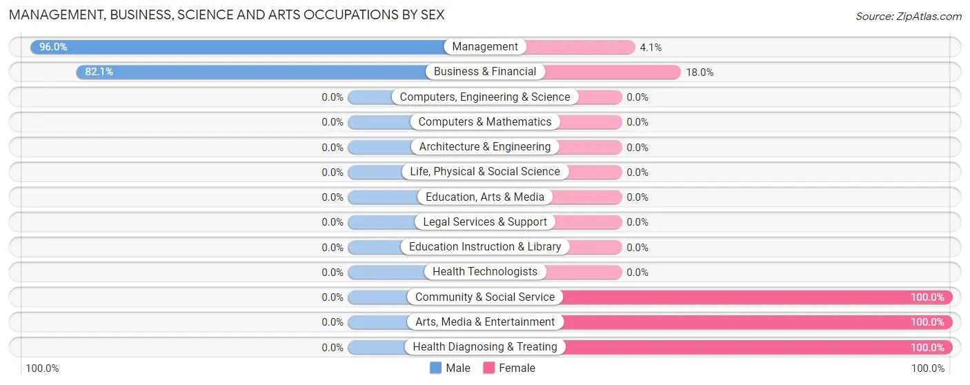 Management, Business, Science and Arts Occupations by Sex in Mountainhome