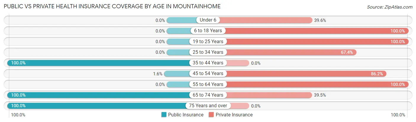 Public vs Private Health Insurance Coverage by Age in Mountainhome