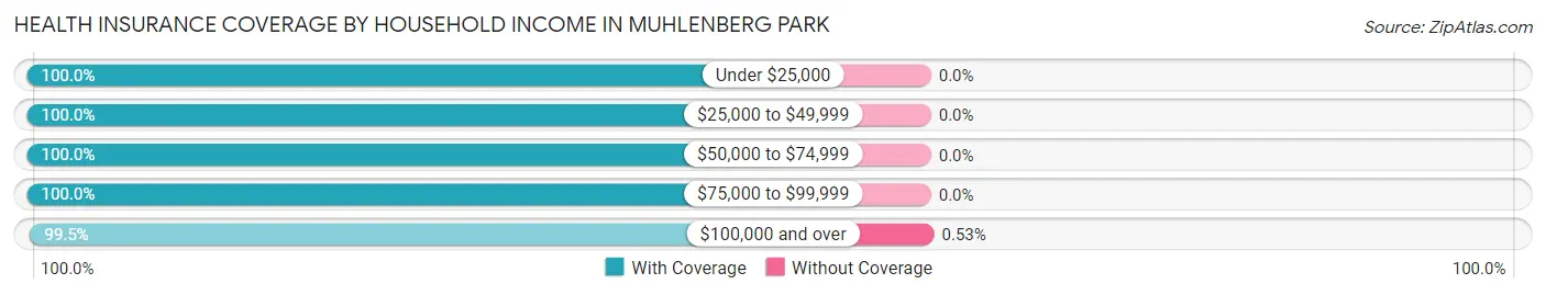 Health Insurance Coverage by Household Income in Muhlenberg Park