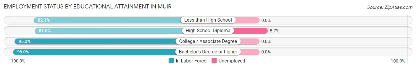 Employment Status by Educational Attainment in Muir