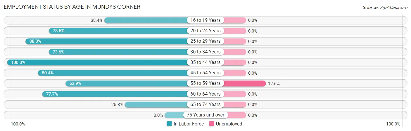 Employment Status by Age in Mundys Corner