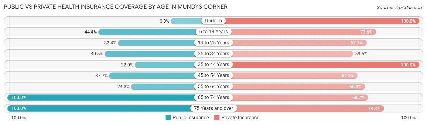 Public vs Private Health Insurance Coverage by Age in Mundys Corner