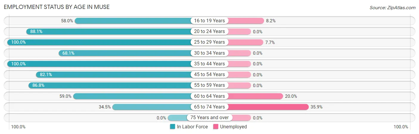 Employment Status by Age in Muse