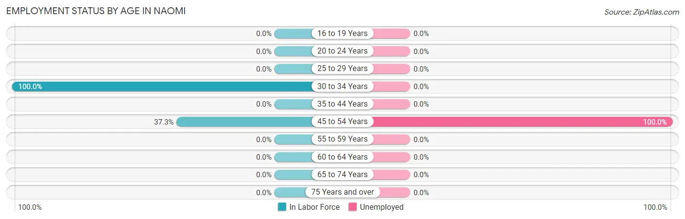Employment Status by Age in Naomi