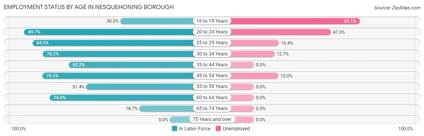 Employment Status by Age in Nesquehoning borough
