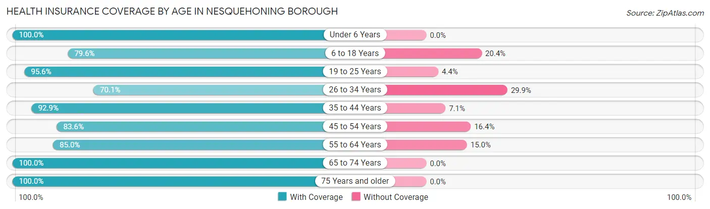 Health Insurance Coverage by Age in Nesquehoning borough