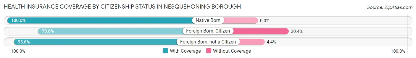 Health Insurance Coverage by Citizenship Status in Nesquehoning borough