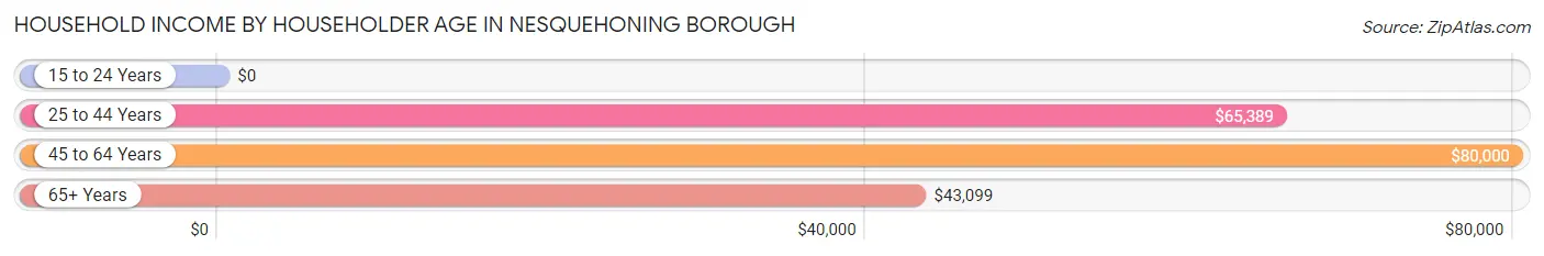 Household Income by Householder Age in Nesquehoning borough