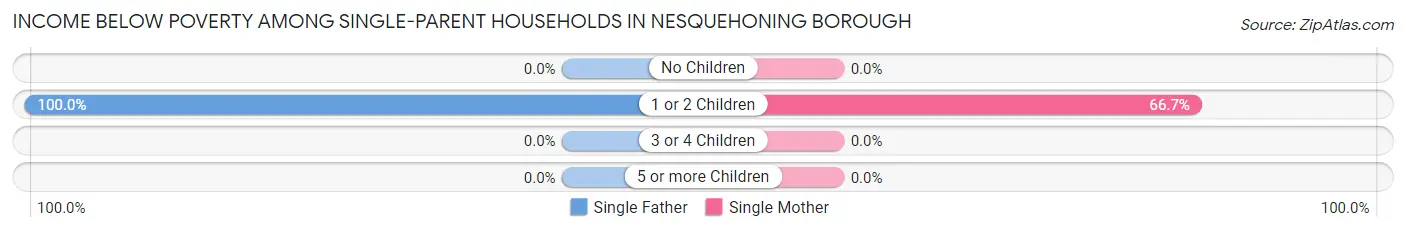 Income Below Poverty Among Single-Parent Households in Nesquehoning borough