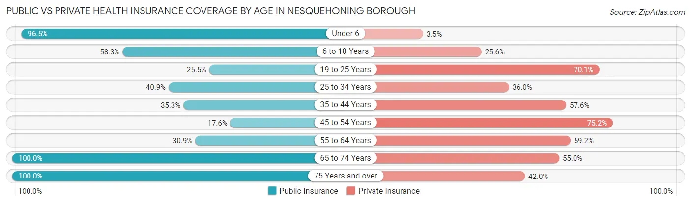 Public vs Private Health Insurance Coverage by Age in Nesquehoning borough