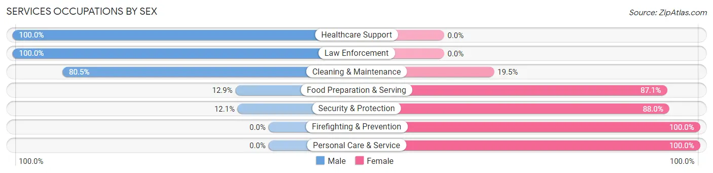 Services Occupations by Sex in Nesquehoning borough