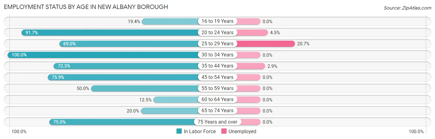 Employment Status by Age in New Albany borough