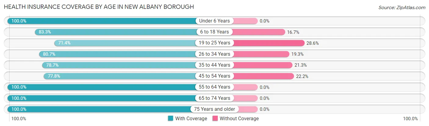 Health Insurance Coverage by Age in New Albany borough