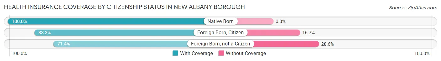 Health Insurance Coverage by Citizenship Status in New Albany borough