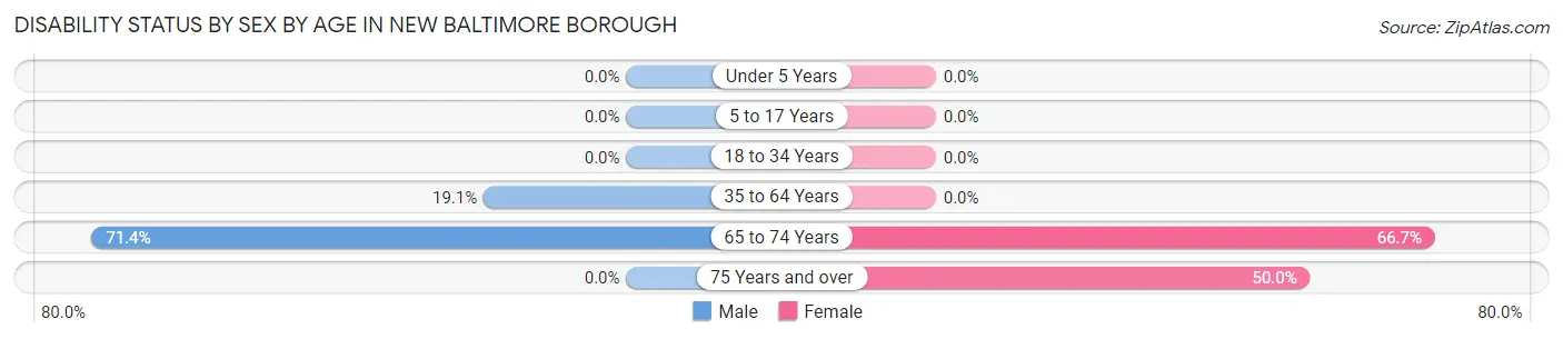 Disability Status by Sex by Age in New Baltimore borough