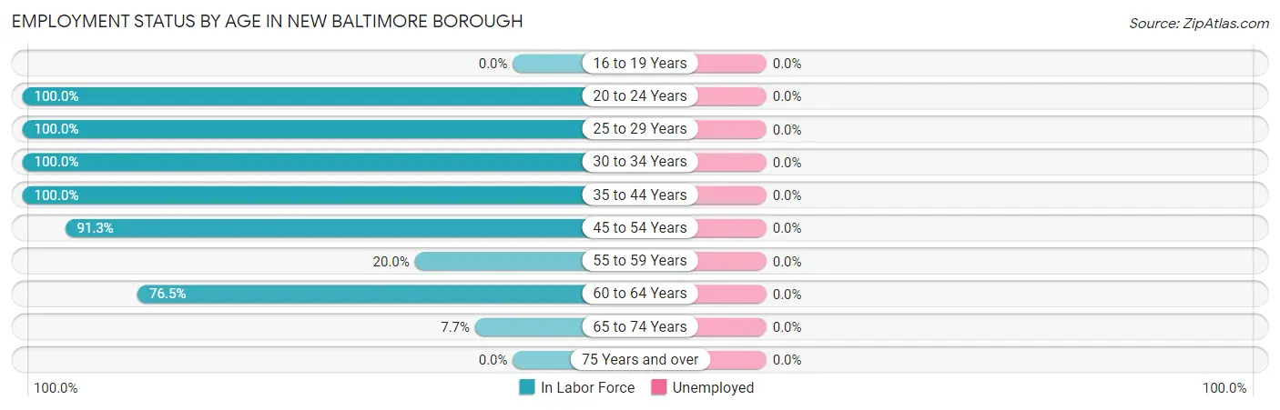 Employment Status by Age in New Baltimore borough