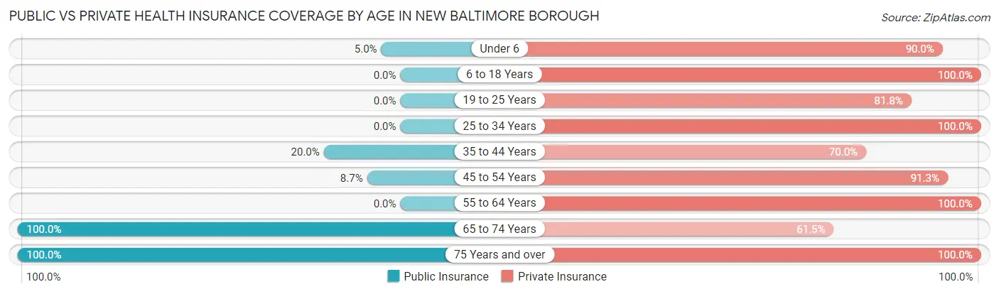Public vs Private Health Insurance Coverage by Age in New Baltimore borough