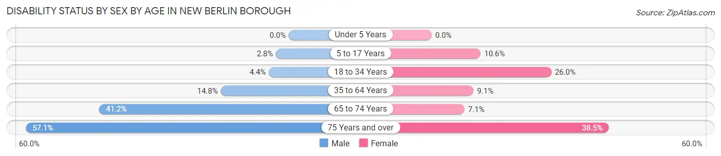 Disability Status by Sex by Age in New Berlin borough