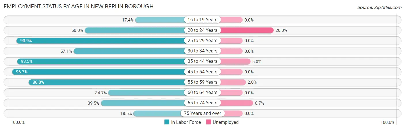 Employment Status by Age in New Berlin borough