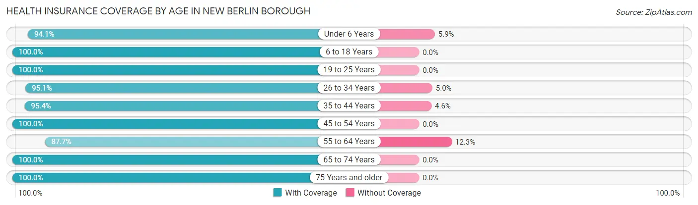 Health Insurance Coverage by Age in New Berlin borough