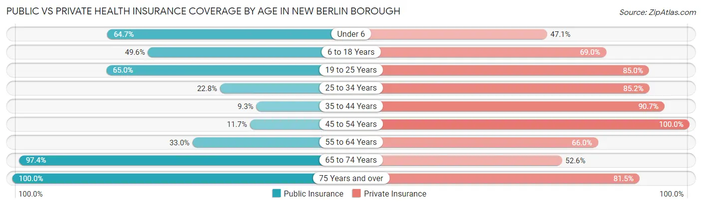Public vs Private Health Insurance Coverage by Age in New Berlin borough