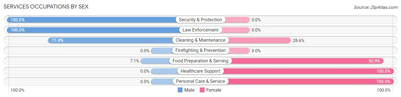 Services Occupations by Sex in New Berlin borough