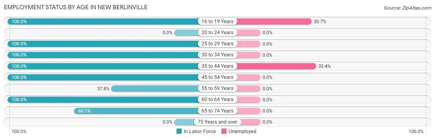 Employment Status by Age in New Berlinville