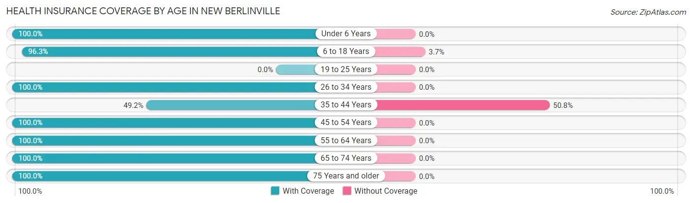 Health Insurance Coverage by Age in New Berlinville