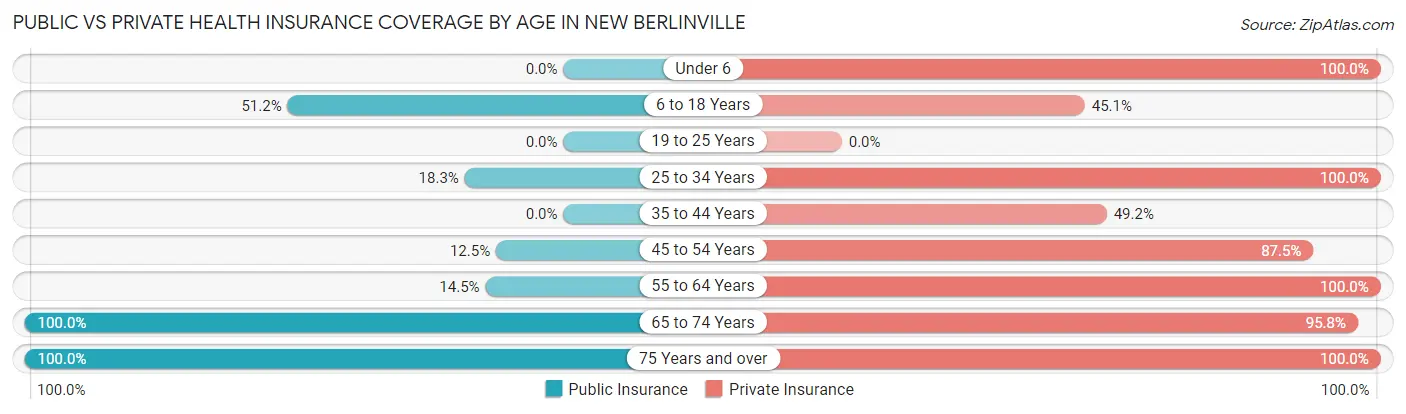 Public vs Private Health Insurance Coverage by Age in New Berlinville