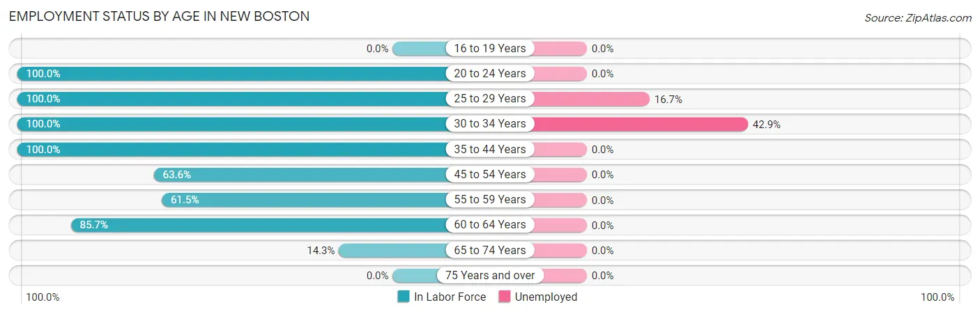 Employment Status by Age in New Boston