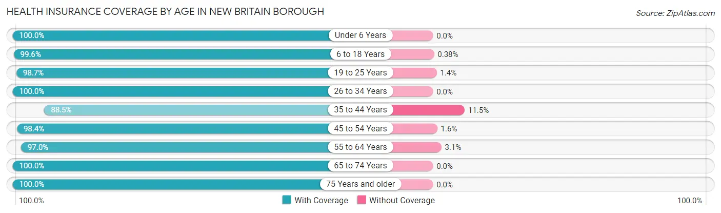 Health Insurance Coverage by Age in New Britain borough