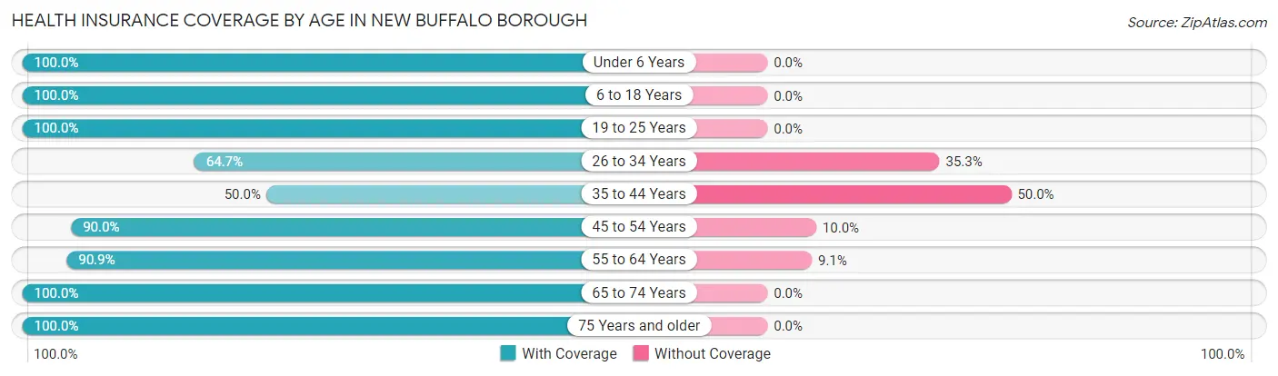 Health Insurance Coverage by Age in New Buffalo borough