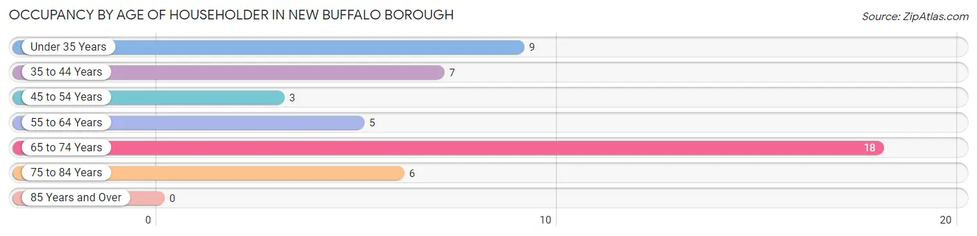Occupancy by Age of Householder in New Buffalo borough