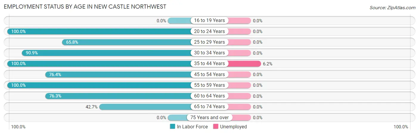 Employment Status by Age in New Castle Northwest