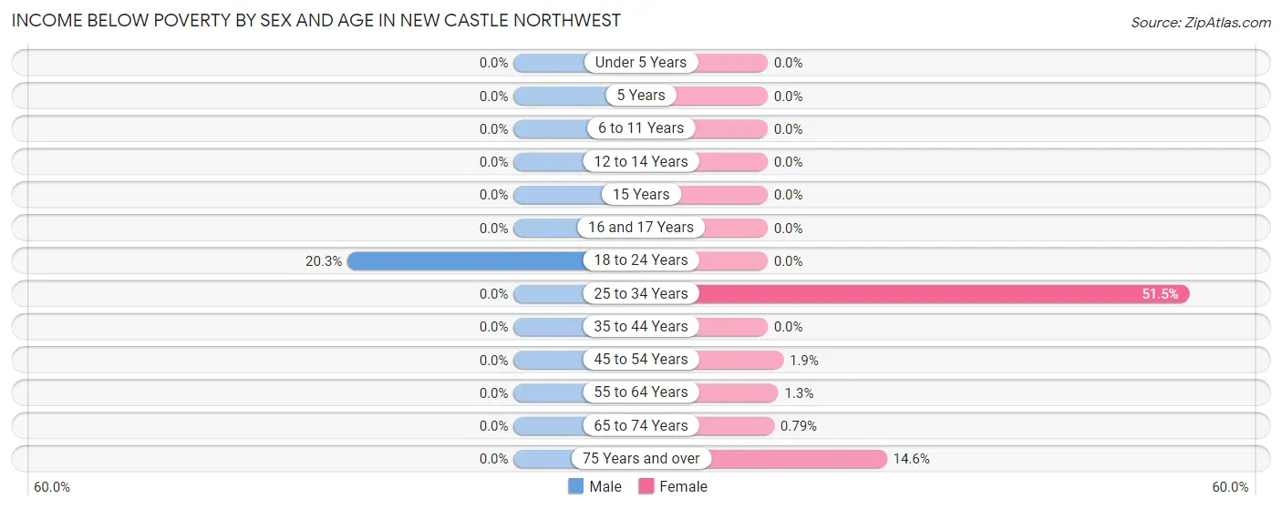 Income Below Poverty by Sex and Age in New Castle Northwest