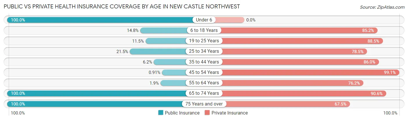 Public vs Private Health Insurance Coverage by Age in New Castle Northwest