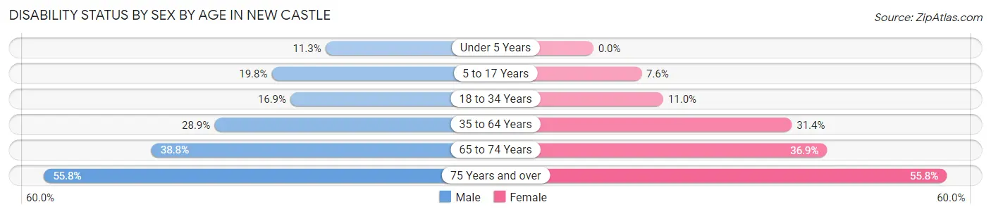 Disability Status by Sex by Age in New Castle