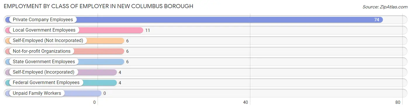 Employment by Class of Employer in New Columbus borough